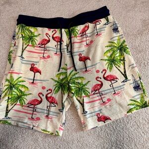 No Boundaries Flamingo and Palm tree Shorts